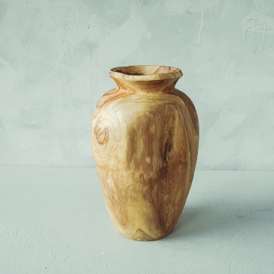 Vase Meteorit